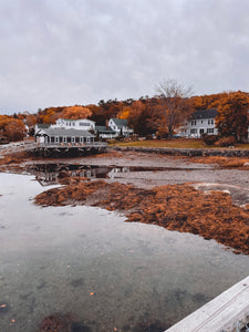 Boothbay in a Day: A guide for the weekend warrior